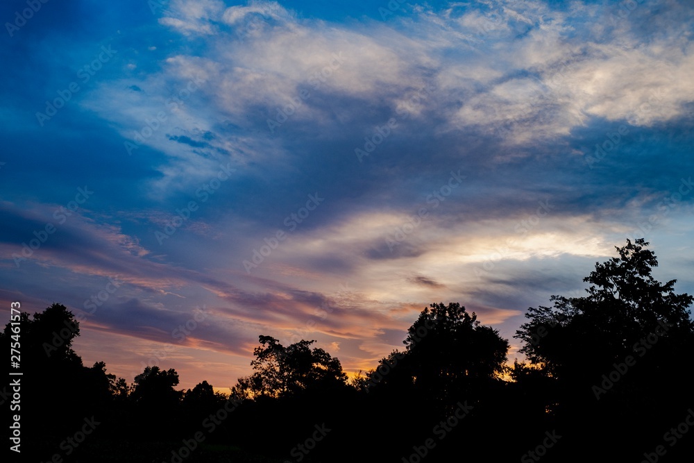 Fototapeta premium sunset in the sky