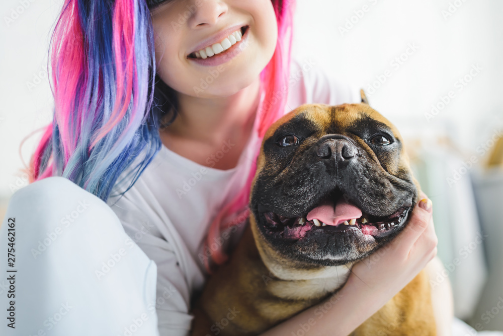 Fototapeta cropped view of happy girl with colorful hair hugging cute bulldog