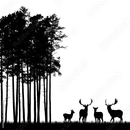 Realistic black illustration of standing deer herd with antlers, grass and high tree in forest. Isolated on white background, with space for text, vector