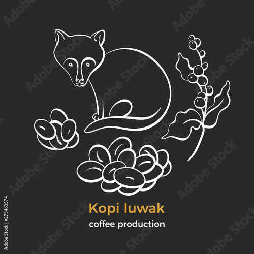 Coffee. Kopi luwak. Natural aroma drink.