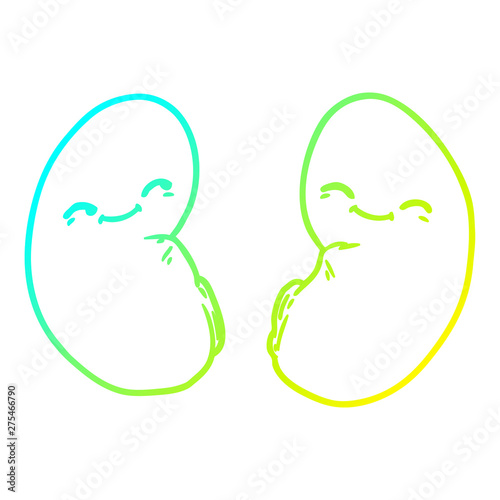 cold gradient line drawing cartoon kidneys