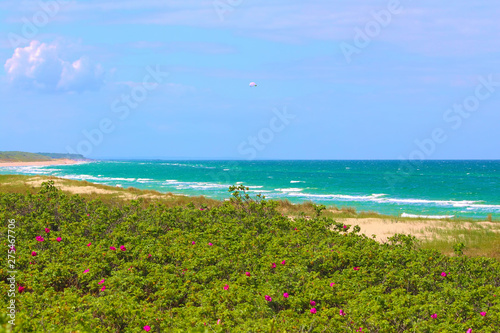 Ostseeblick photo