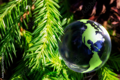 Fototapeta Naklejka Na Ścianę i Meble -  Globe on a forest background of fir branches and cones -Ecological Concept