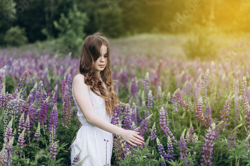 Portrait of young cute brunette girl in lupine violet field in blossom in summer sunset. Greenhouse, nature, natural beauty, freedom, youth concept