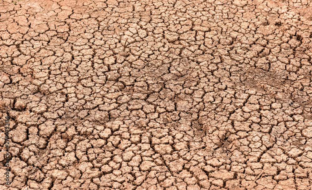 Naklejka premium Background, dry soil surface cracked