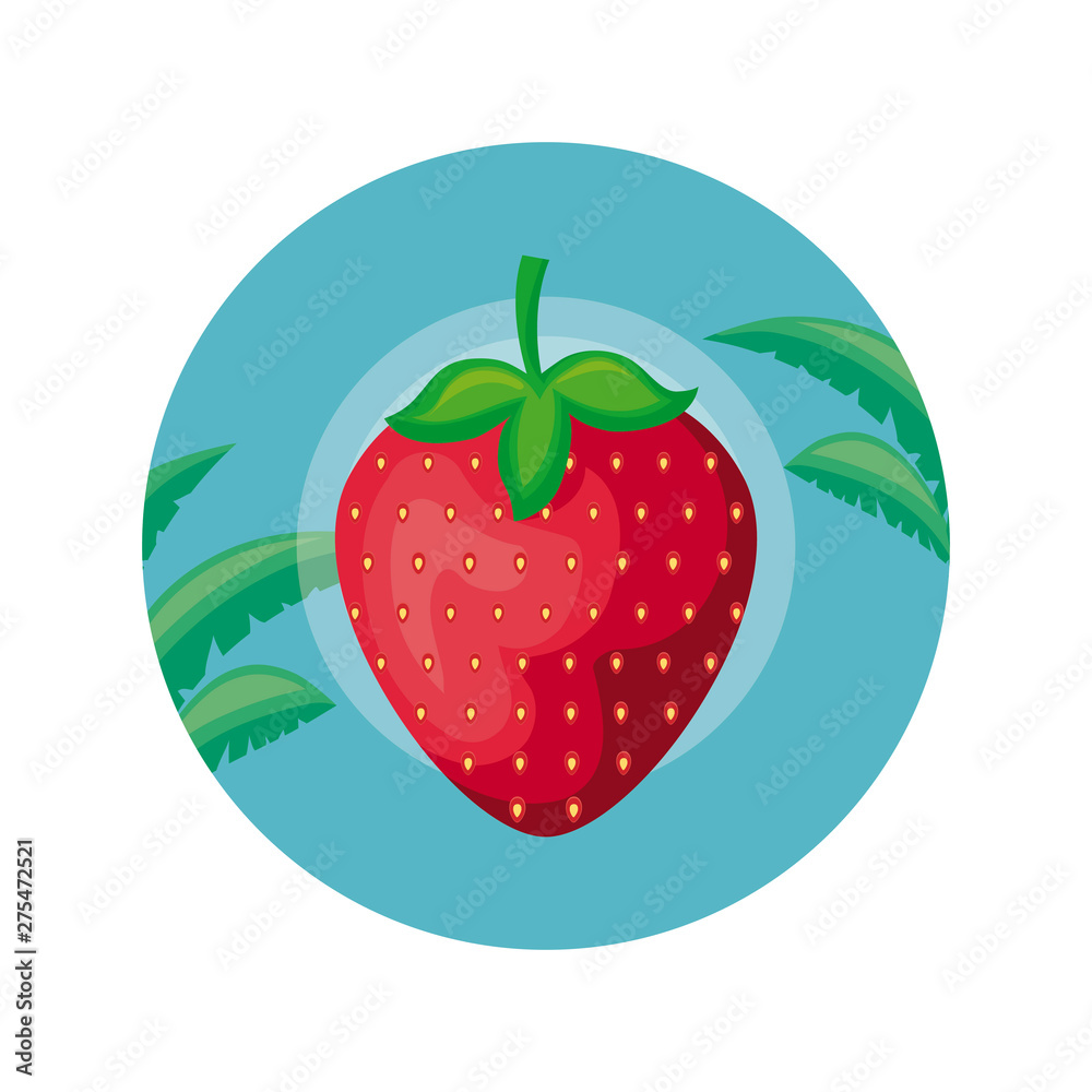 Fototapeta premium strawberry in frame circular with leafs tropicals