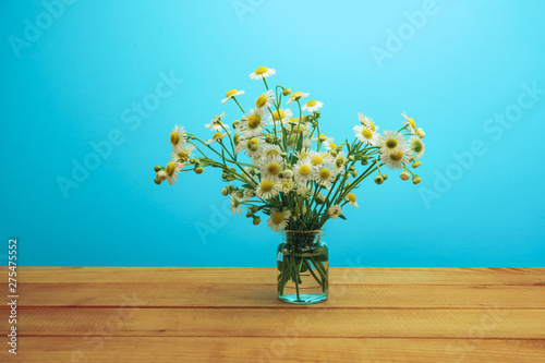 Beautiful chamomile in vase on a red wooden table and blue background behid. photo