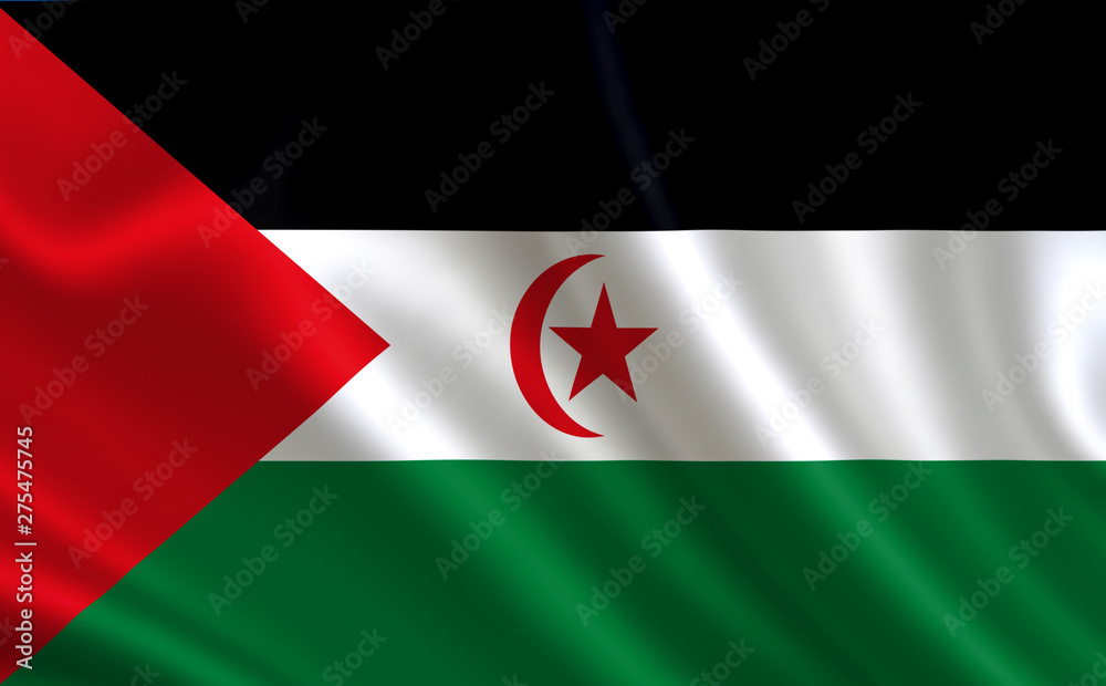 An image of the flag of the Sahrawi Arab Democratic Republic. Series An image of the flag of the Sahrawi Arab Democratic Republic. Series