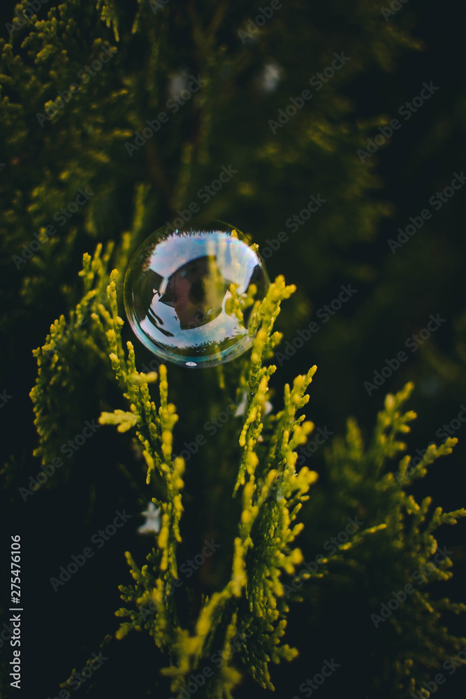 soap bubble