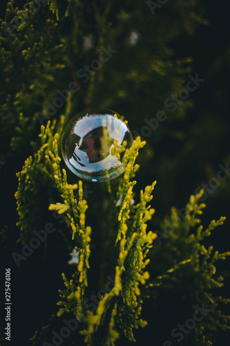 soap bubble