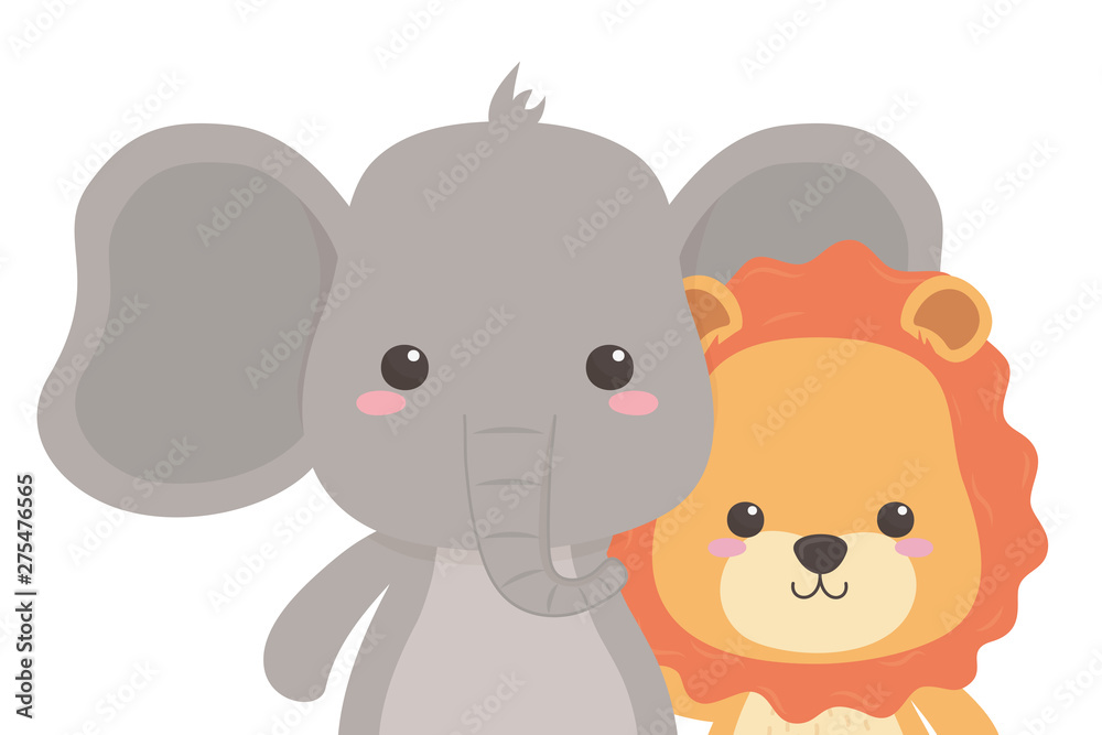 Lion and elephant cartoon design
