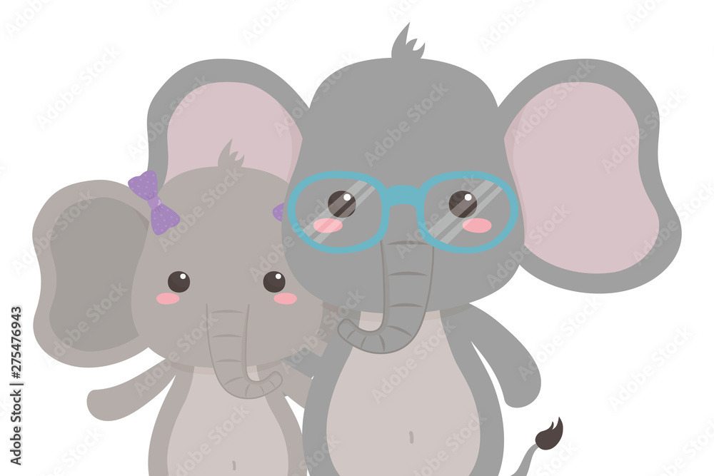 Couple of elephants design vector illustrator