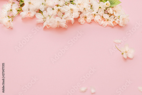 Fototapeta Naklejka Na Ścianę i Meble -  Apple flowers on pink background. Holiday card
