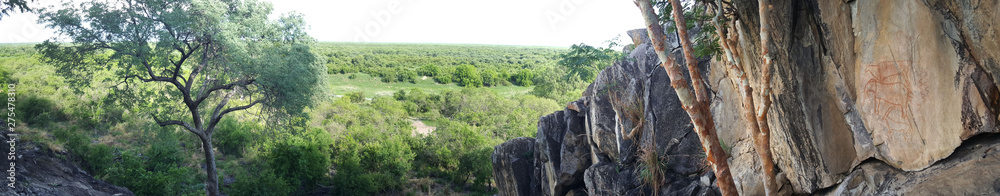 Panorama from Chobe National Park Panorama from Chobe National Park