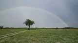 Rainbow in Chobe National Park