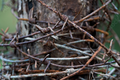 Background with an old rusty barbed wire reeled up on the wooden post