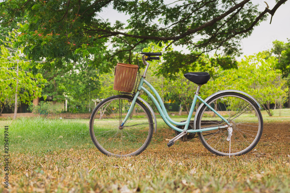 Beautiful vintage bicycle in park