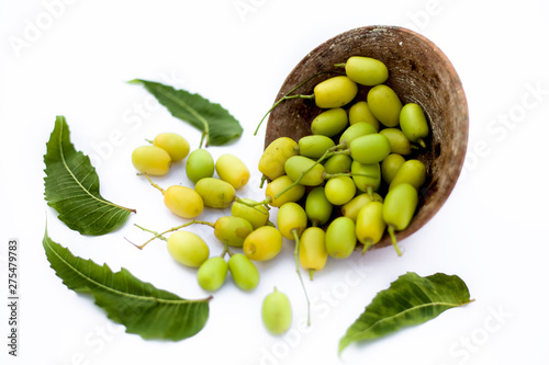 Neem fruit or nim fruit or Indian lilac fruit in a clay bowl isolated on white along with some fresh leaves also.Horizontal shot.