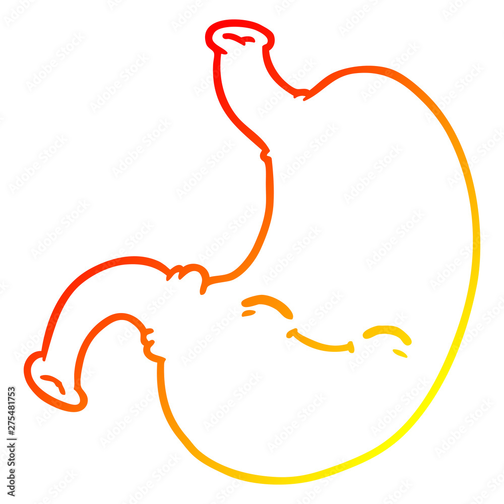 warm gradient line drawing cartoon stomach warm gradient line drawing cartoon stomach