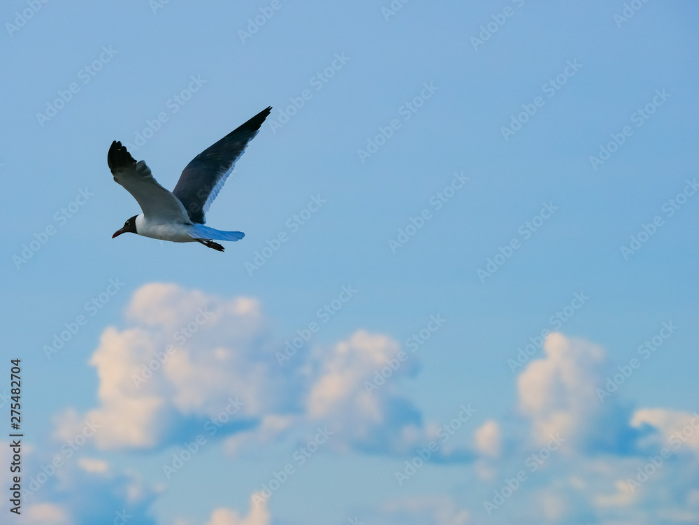 Obraz premium Above The Clouds