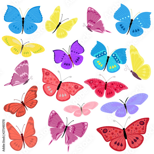 collection of flying butterflies for your design
