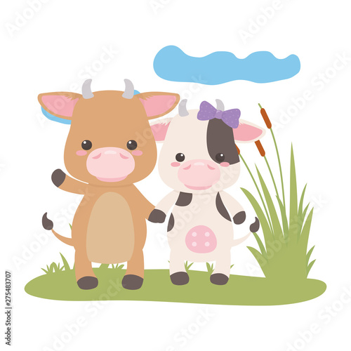 Bull and cow cartoon design