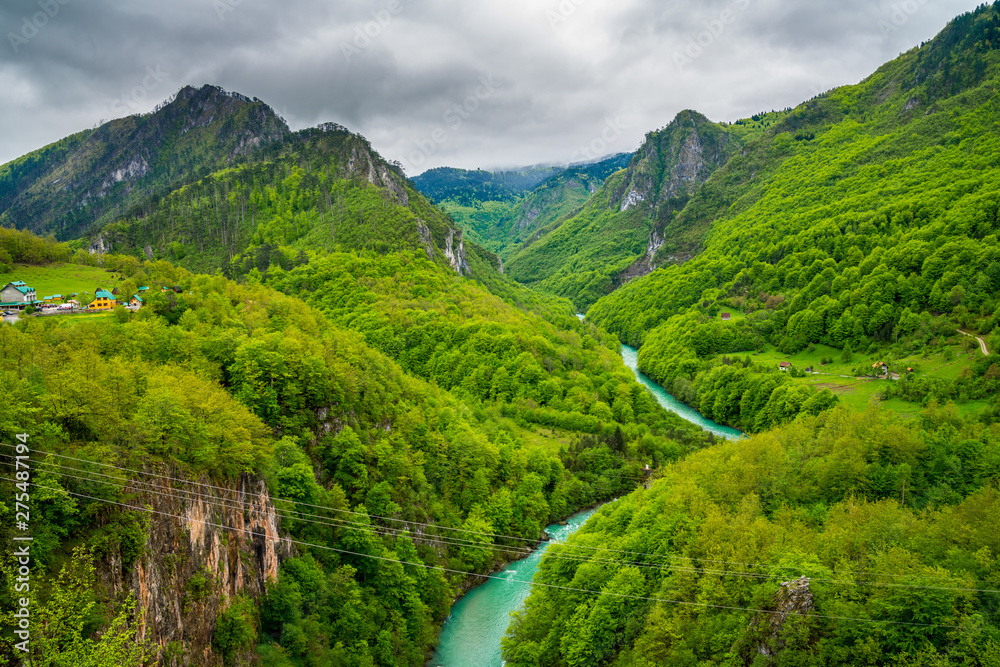 Montenegro, Many zip line wires crossing green tara canyon nature landscape for fun tourist adventure of zip lining over the majestic canyon