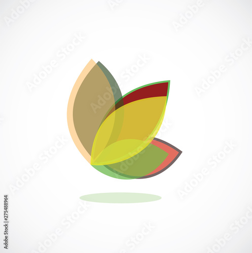 leaf butterfly wings design vector 