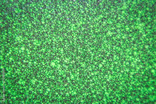 Macro picture of green sponge plastic scourer pad 