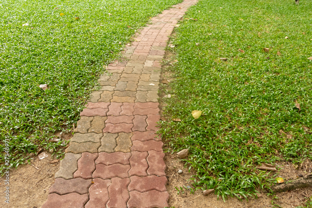 path in the garden path in the garden