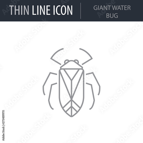 Symbol of Giant Water Bug. Thin line Icon of Insect. Stroke Pictogram Graphic for Web Design. Quality Outline Vector Symbol Concept. Premium Mono Linear Beautiful Plain Laconic Logo