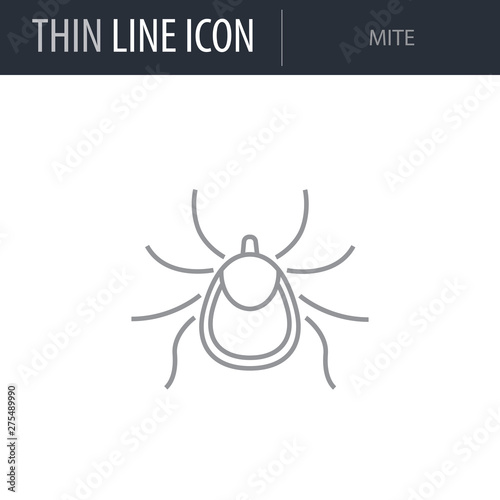Symbol of Mite. Thin line Icon of Insect. Stroke Pictogram Graphic for Web Design. Quality Outline Vector Symbol Concept. Premium Mono Linear Beautiful Plain Laconic Logo