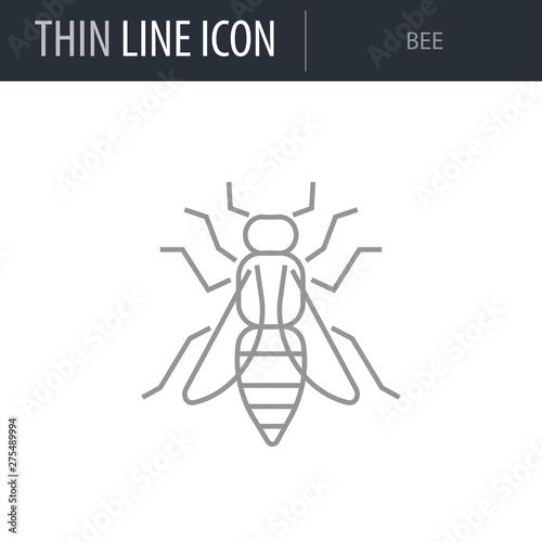 Symbol of Bee. Thin line Icon of Insect. Stroke Pictogram Graphic for Web Design. Quality Outline Vector Symbol Concept. Premium Mono Linear Beautiful Plain Laconic Logo