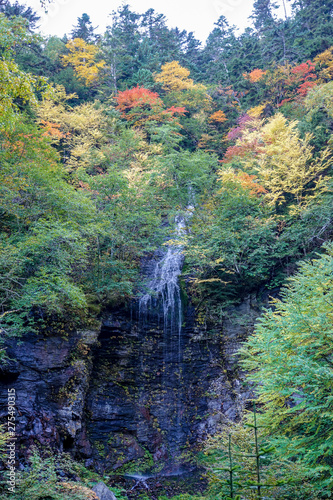 初秋の乗鞍高原　三本滝　（左の滝） photo