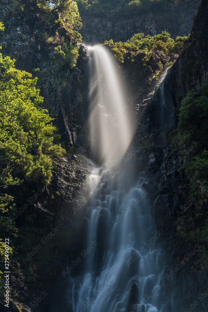 Obraz premium Madeira levada walk Risco waterfall