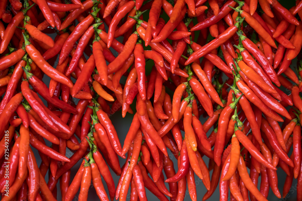 Red Chilies drying abstract background 