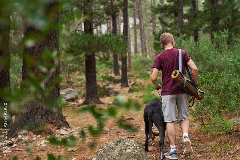 Man walking with his dog along a forest path