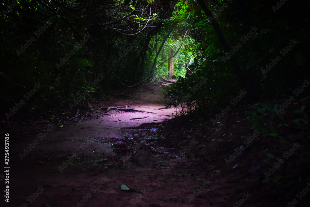 Fototapeta premium forest path ,kanchanaburi waterfall erawan