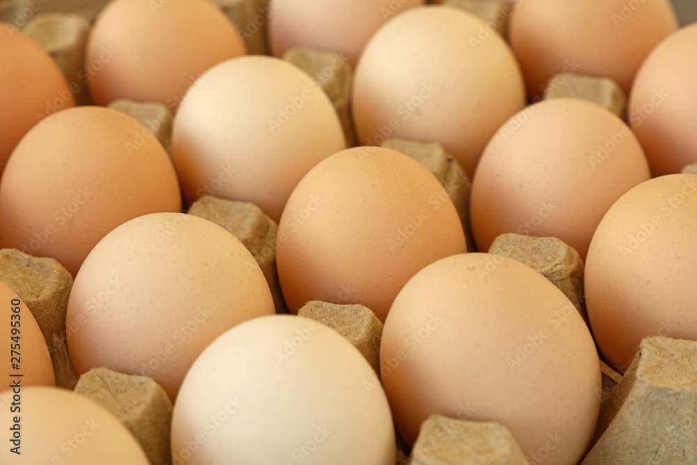 Close up brown chicken eggs in tray carton