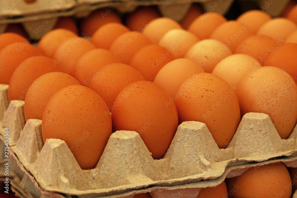 Close up brown chicken eggs in tray carton - obrazy, fototapety, plakaty 