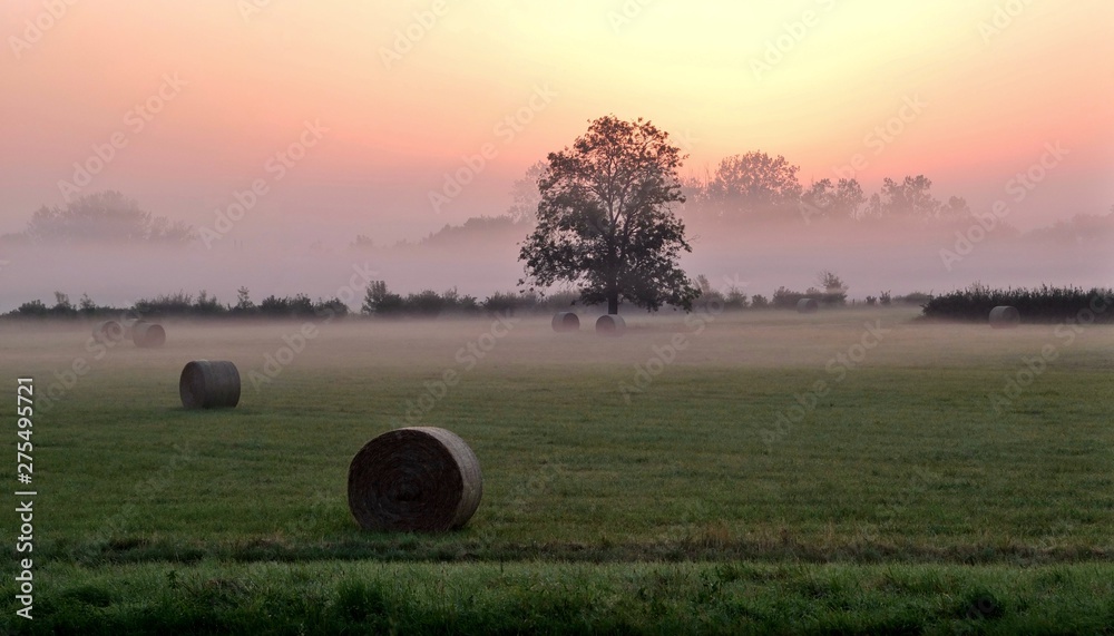 Paysage campagnard avec des meules de foin dans la brume matinale.