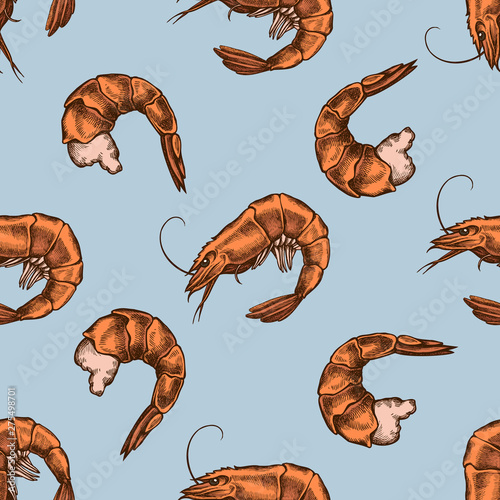 Seamless pattern with hand drawn colored shrimp
