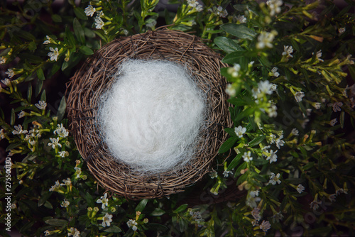 Natural and cozy digital backdrop for baby photos photo