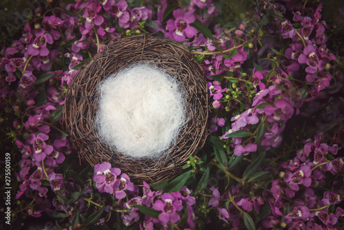 Floral digital backdrop for newborn composites in lilac 