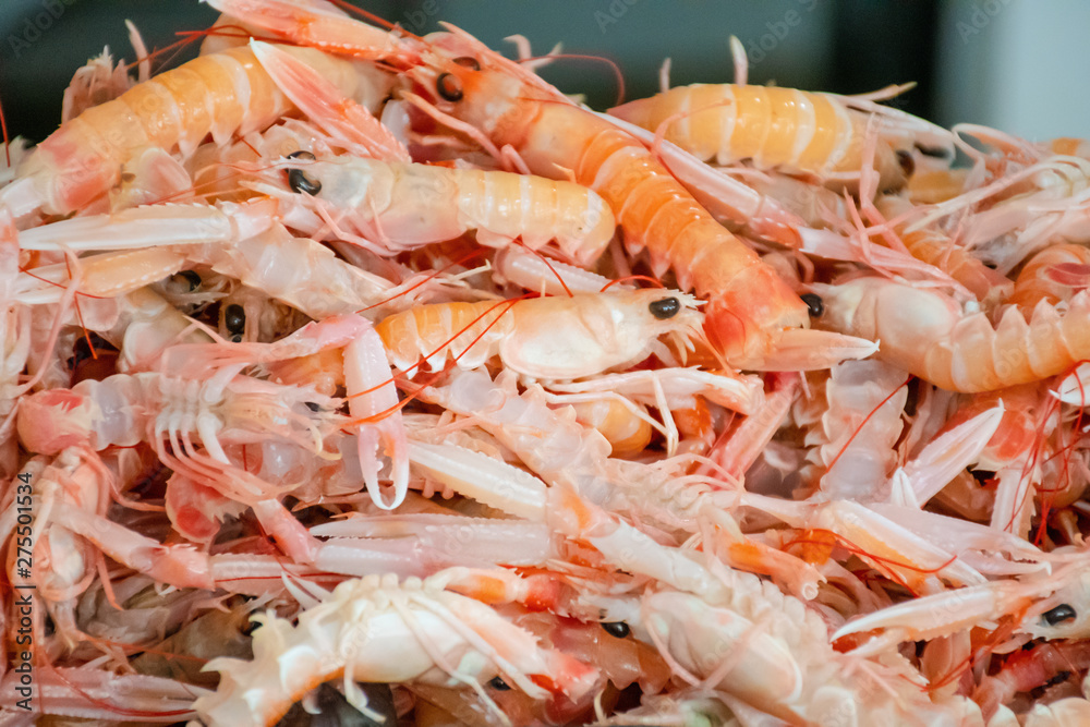 Group of Scampi, Dublin Bay Prawn, or Norway Lobster on the table for sale in a fish market in Bari, Italy Group of Scampi, Dublin Bay Prawn, or Norway Lobster on the table for sale in a fish market in Bari, Italy