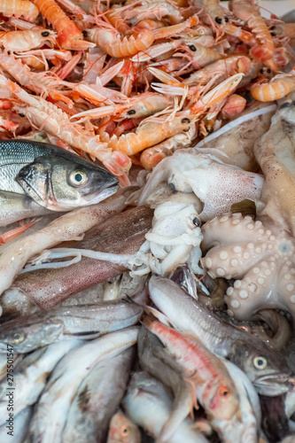 Various fresh seafood and fish displayed on the table for sale in a fish market in Bari, Italy: shrimps, squids, cuttlefish, octopus, red scorpionfish, sea bream, goatfish, branzino, red lobster, cod