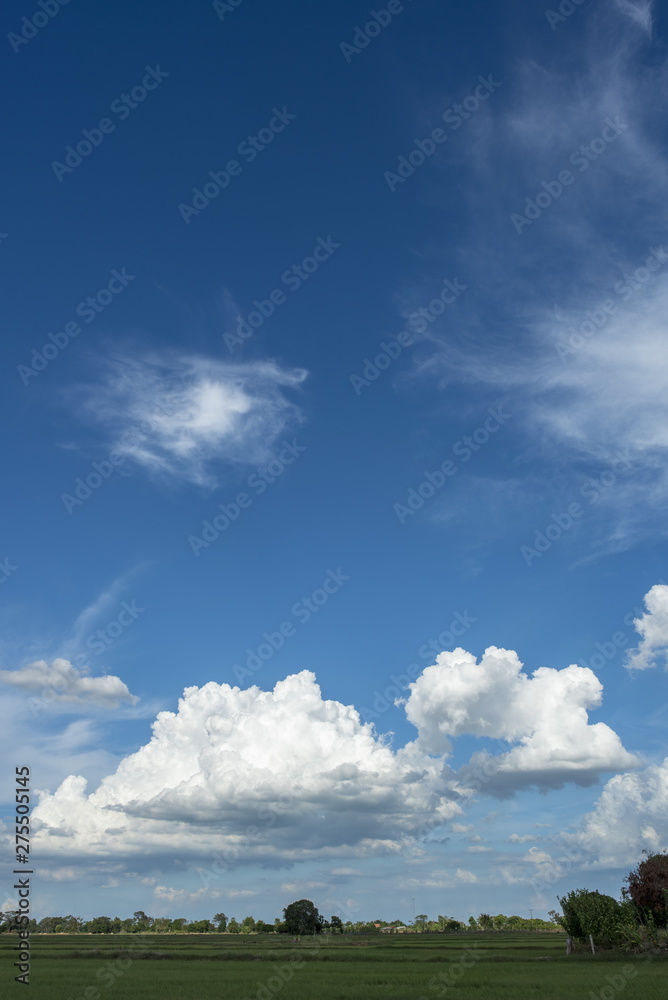 Blue sky background with green fields and white clouds. Blue sky background with green fields and white clouds.