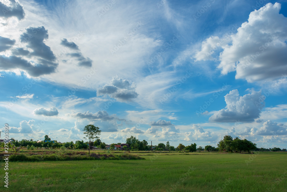 Blue sky background with green fields and white clouds.