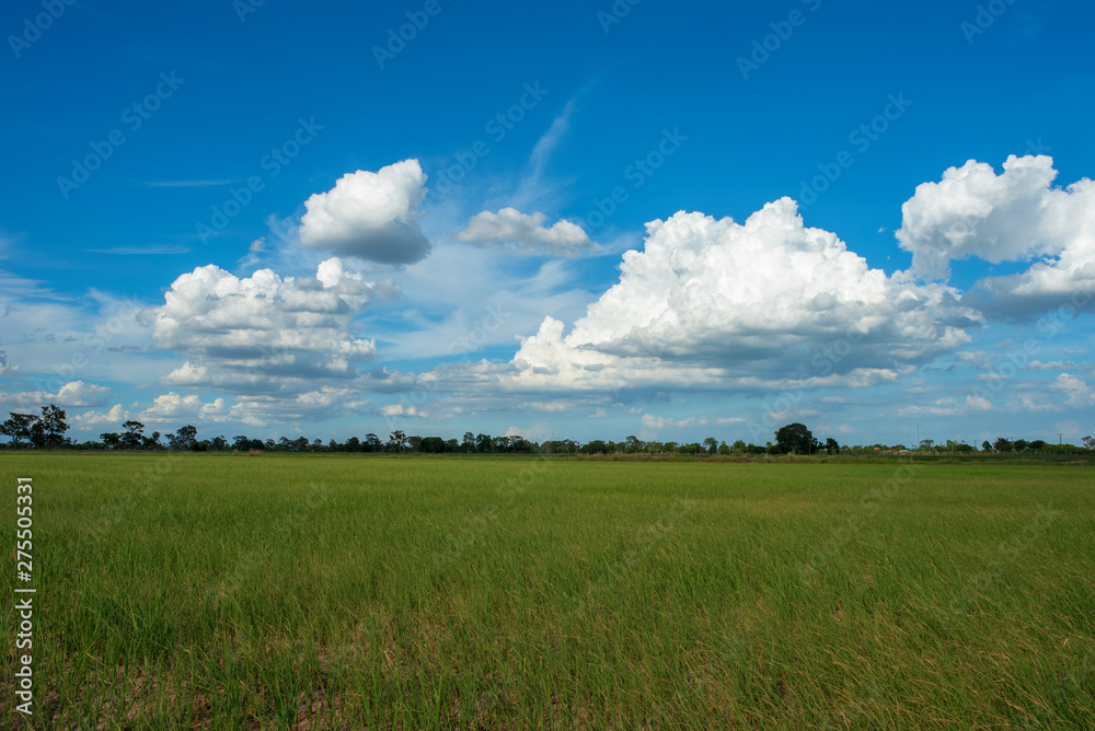 Blue sky background with green fields and white clouds.