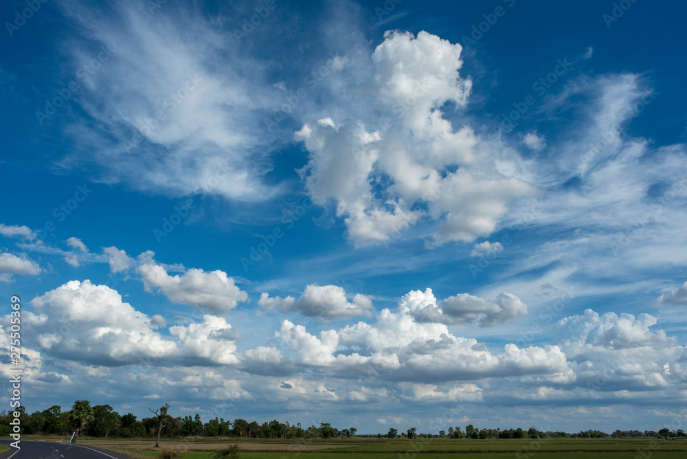 Blue sky background with green fields and white clouds.